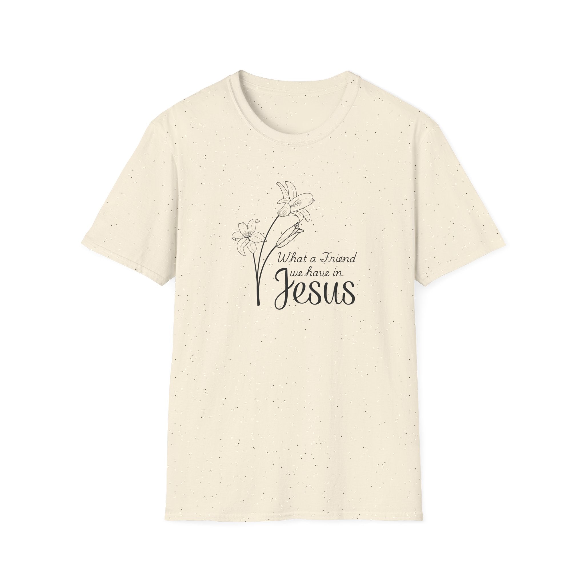 What a Friend We Have in Jesus Gildan Christian T-Shirt |  Faith Graphic Tee | Christian Gifts