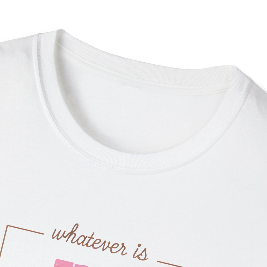 Philippians 4 Gildan Christian T-Shirt | Faith-Based Apparel | Bible Verse Tee | Christian Gift Idea | Inspirational Jesus Shirt