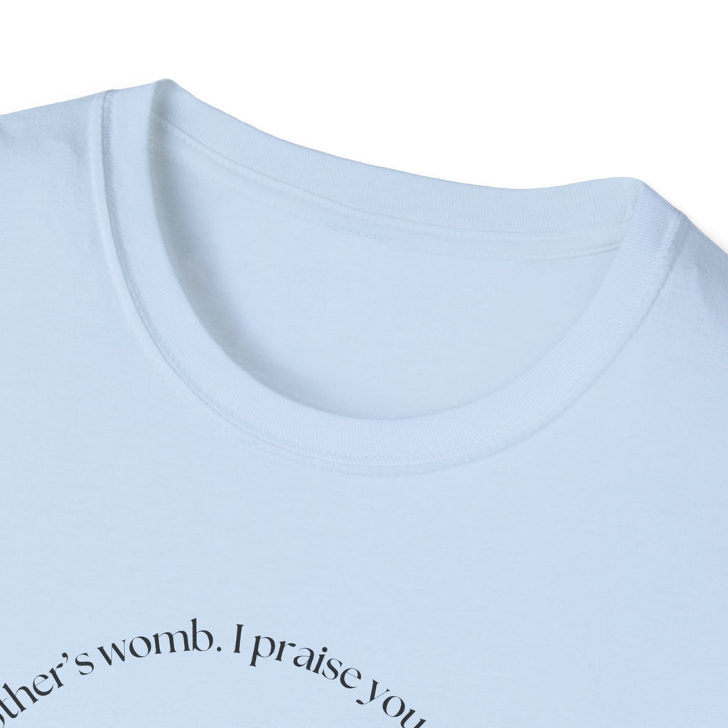 Psalm 139:13-14 Gildan Unisex Christian T-Shirt | Fearfully Wonderfully Made Tee | Christian Gift