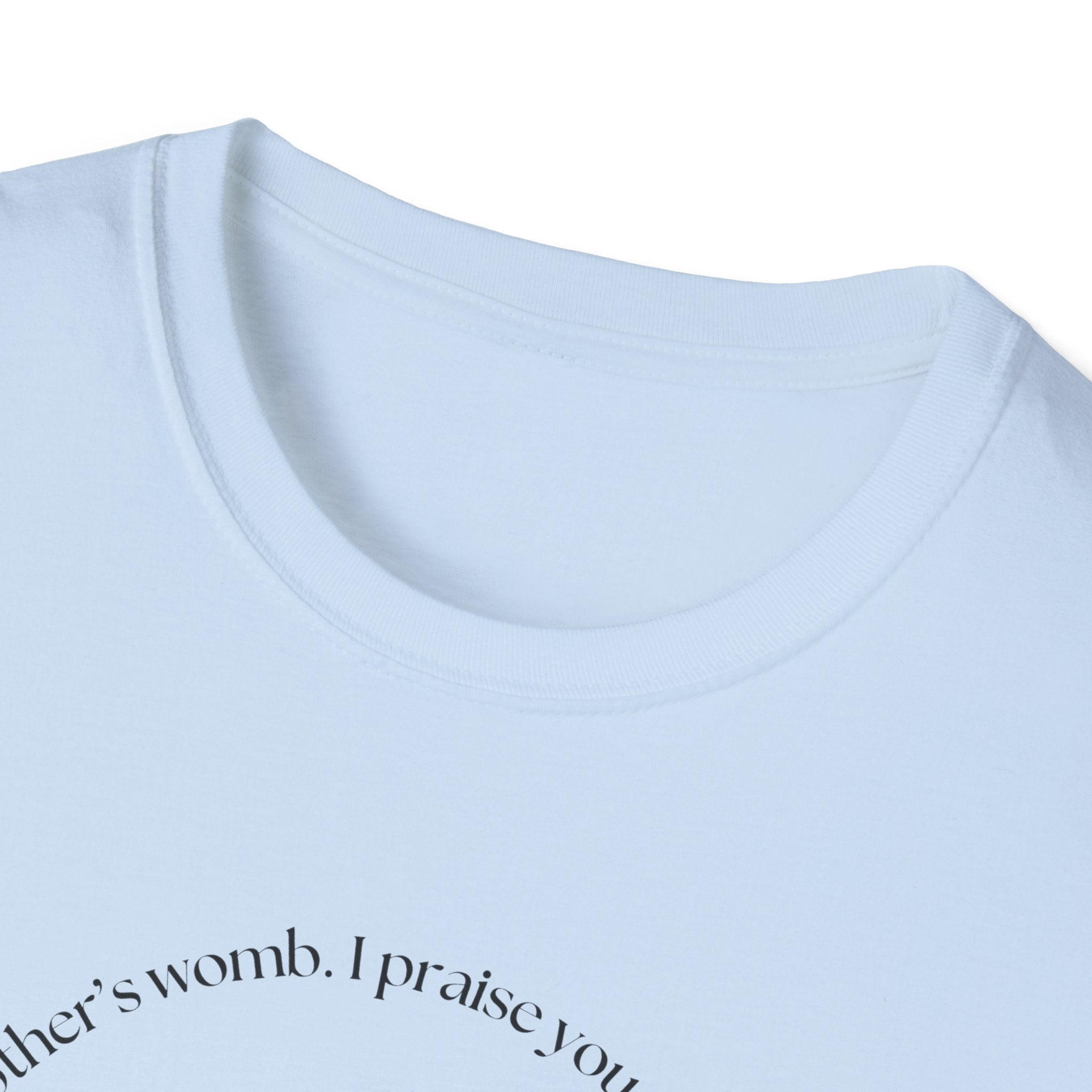 Psalm 139:13-14 Gildan Unisex Christian T-Shirt | Fearfully Wonderfully Made Tee | Christian Gift