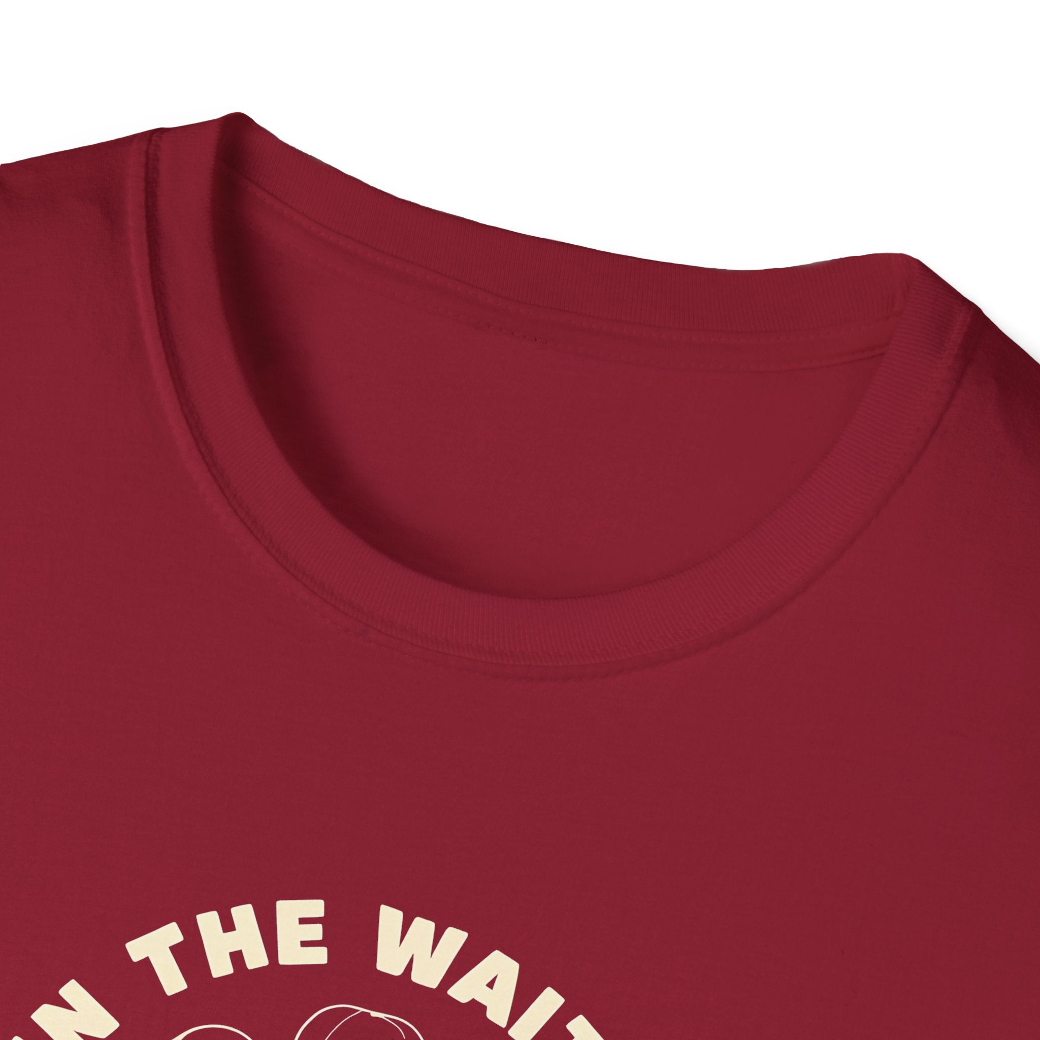 In the Waiting God Is Working Christian Gildan Unisex T-shirt | Women’s Faith Graphic Tee