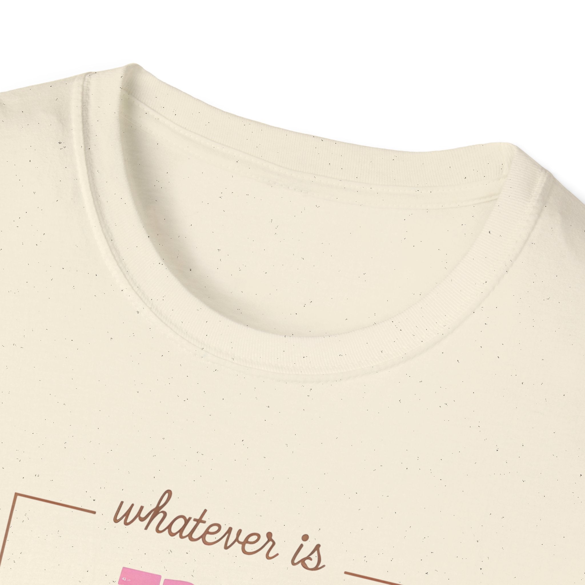 Philippians 4 Gildan Christian T-Shirt | Faith-Based Apparel | Bible Verse Tee | Christian Gift Idea | Inspirational Jesus Shirt
