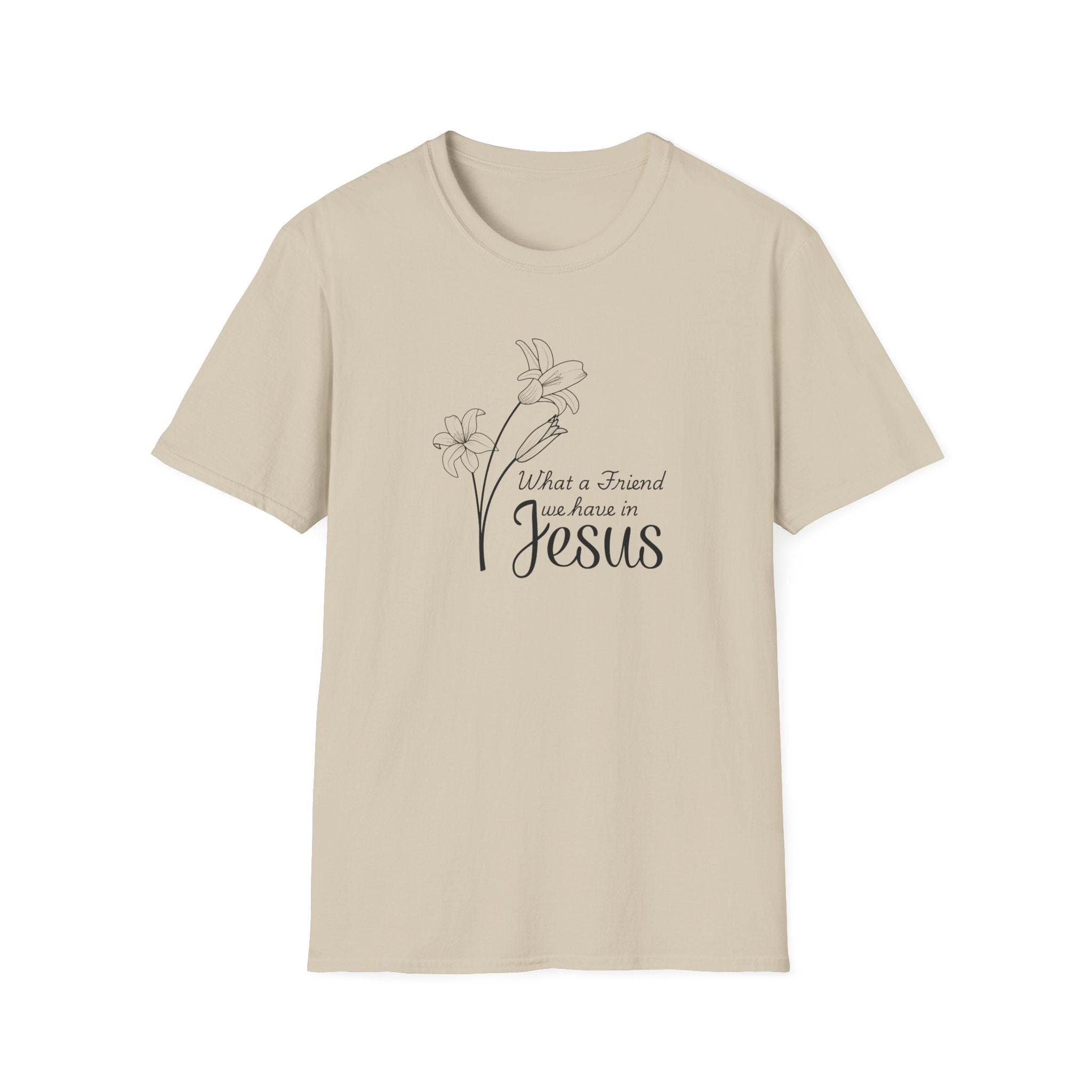 What a Friend We Have in Jesus Gildan Christian T-Shirt |  Faith Graphic Tee | Christian Gifts
