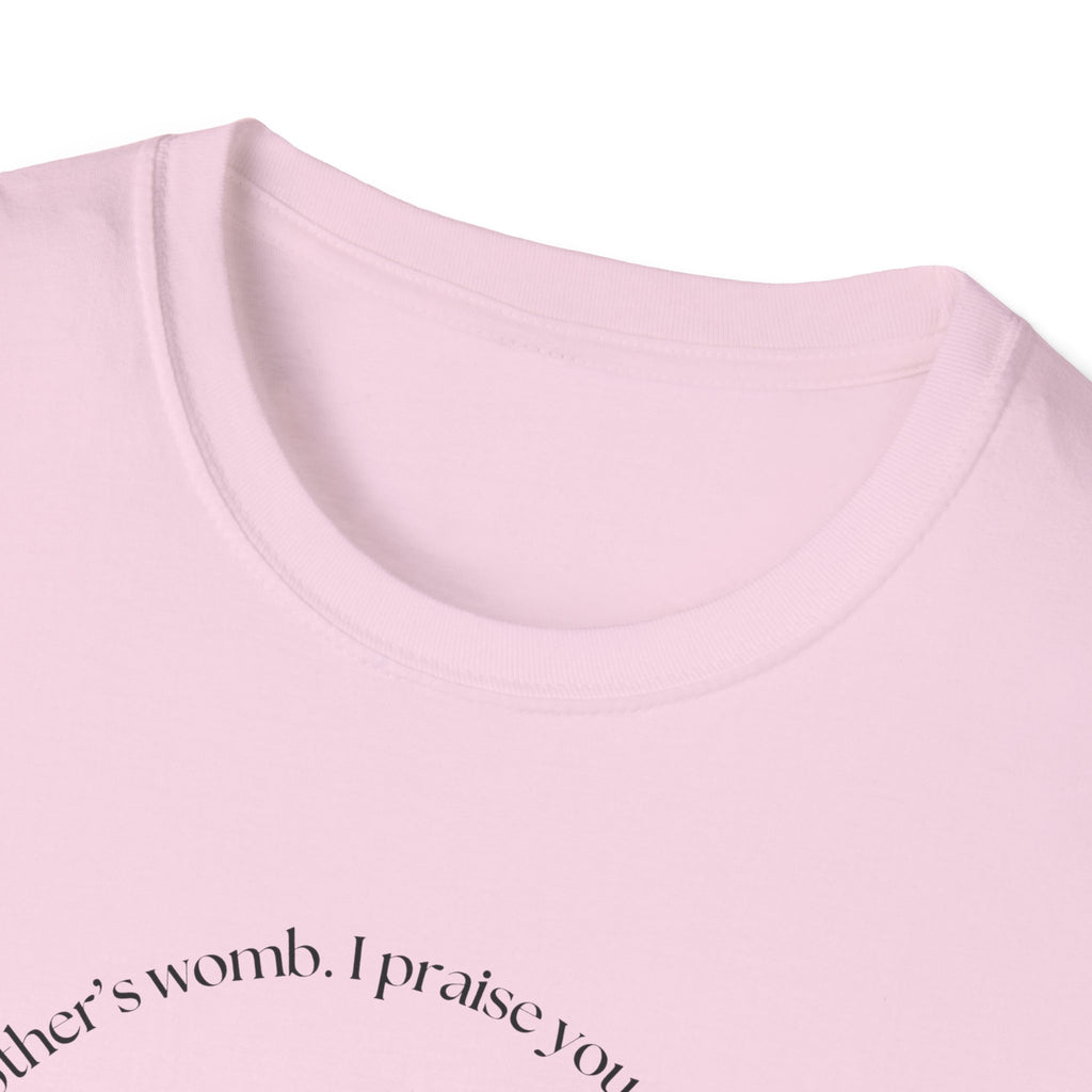 Psalm 139:13-14 Gildan Unisex Christian T-Shirt | Fearfully Wonderfully Made Tee | Christian Gift