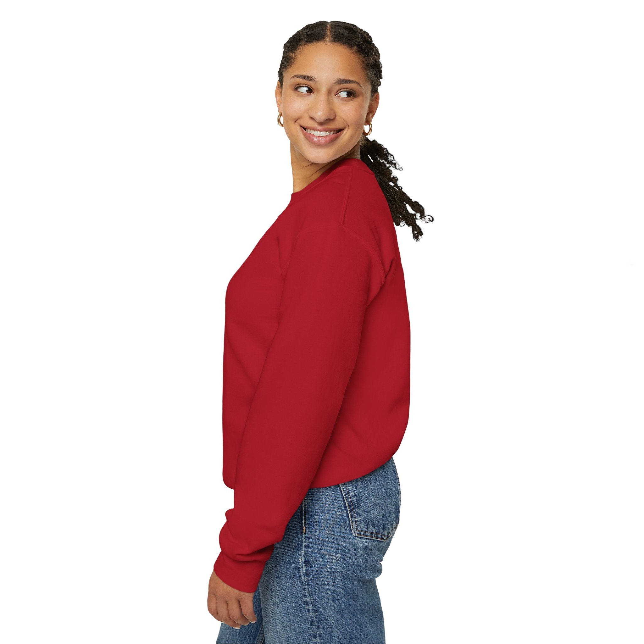 Jesus Is King Christian Gildan Unisex Crewneck Sweatshirt | Faith Apparel |  Religious Gift