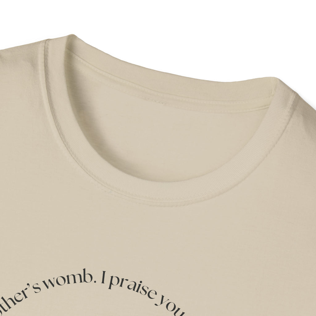 Psalm 139:13-14 Gildan Unisex Christian T-Shirt | Fearfully Wonderfully Made Tee | Christian Gift