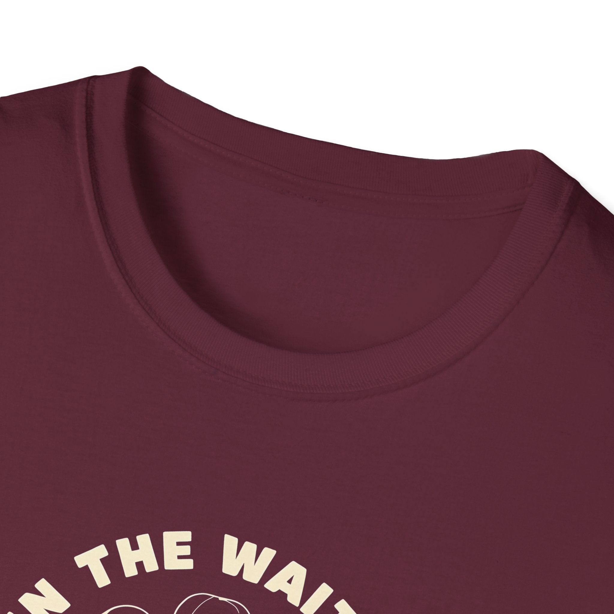 In the Waiting God Is Working Christian Gildan Unisex T-shirt | Women’s Faith Graphic Tee